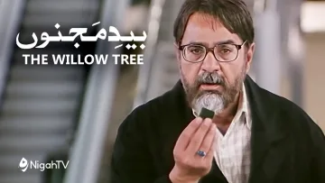 Nigah TV 28 willowtree