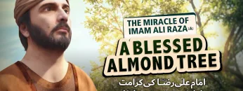The Miracle of Imam Ali Raza (A) | 𝐈𝐧 𝐭𝐡𝐞 𝐏𝐚𝐭𝐡 𝐨𝐟 𝐑𝐚𝐢𝐧 | بارش کے راستے میں | Nigah TV