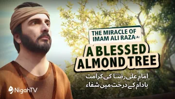 The Miracle of Imam Ali Raza (A) | 𝐈𝐧 𝐭𝐡𝐞 𝐏𝐚𝐭𝐡 𝐨𝐟 𝐑𝐚𝐢𝐧 | بارش کے راستے میں | Nigah TV